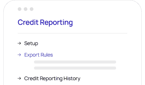 rednering of loanpro's credit platform reporting